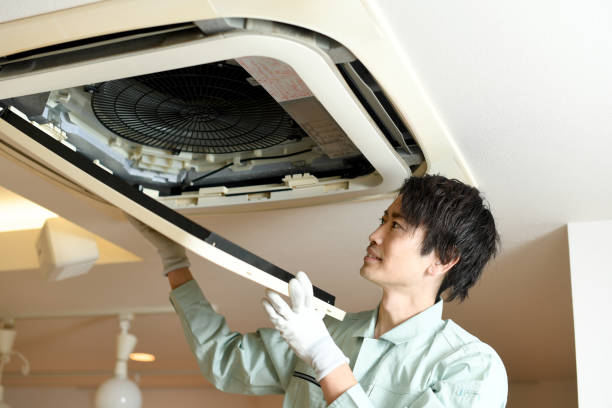 Best Ductwork Cleaning Services  in Terryville, NY