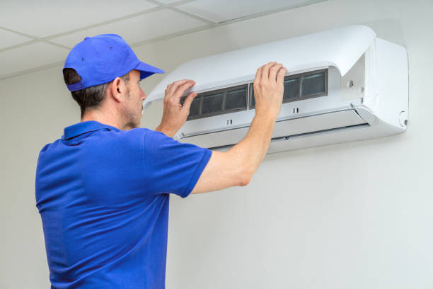 Best Air Duct Mold Removal  in Terryville, NY