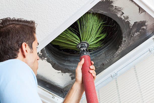 Best Air Duct Cleaning Company Near Me  in Terryville, NY